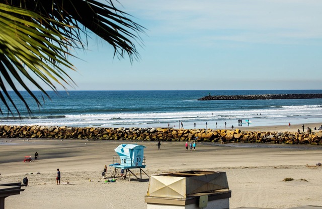 Coastal Beauty: A Beachfront Condo with Spectacular Natural Views!