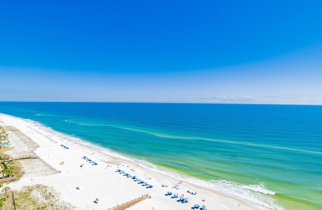 Coastal Luxury Defined: Beach Colony's Beachfront Condo Exudes Elegance!