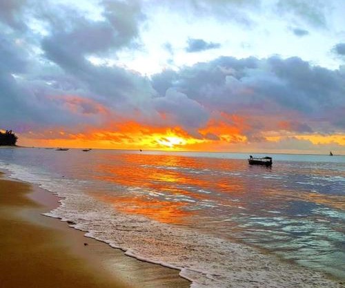 COCO REEF ECOLODGE