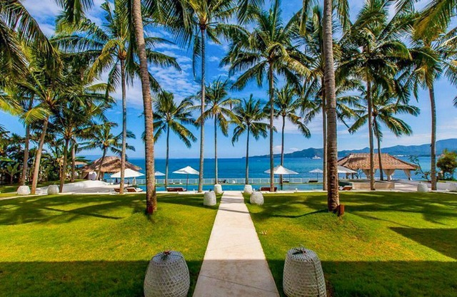 Coconut Palms and Endless Blue Skies!