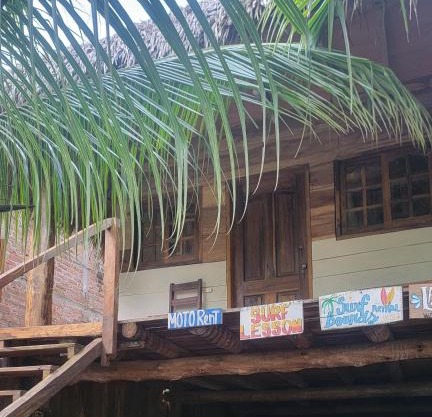 Coconut Surf