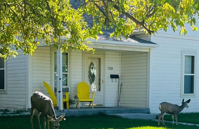 Cody Cowboy Cottage