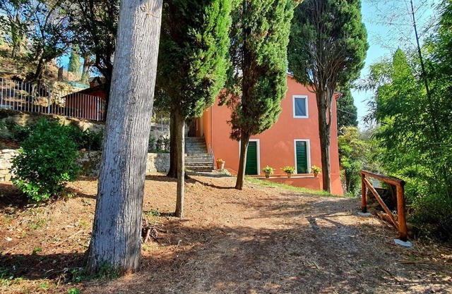 Collina Lagomare - Massarosa ,Tuscany