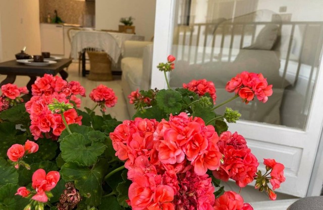 CORAL 14 - apartment in the center of Llafranc-Costa Brava