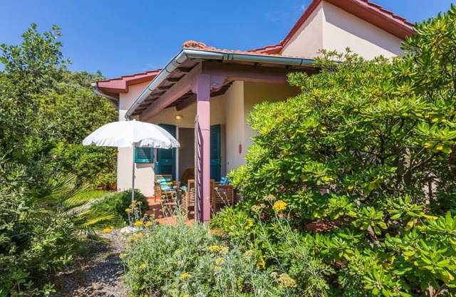 Cosy apartment for 4 guests with patio