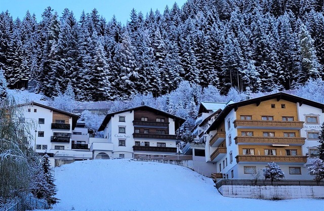 Cosy apartment for 3 guests with WIFI, TV, pets allowed and parking