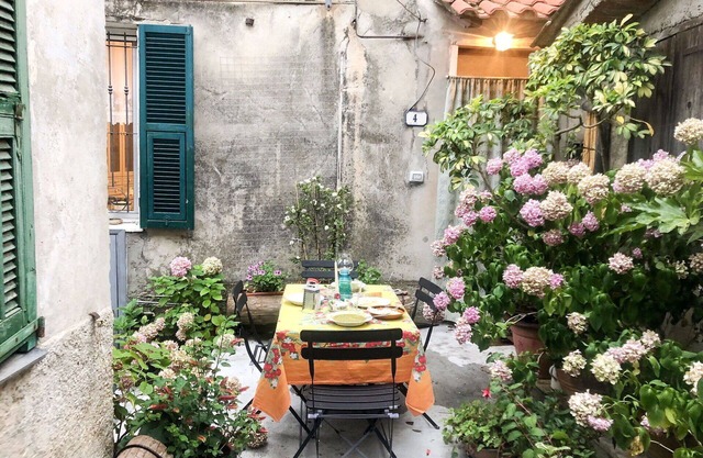 Cosy apartment for 4 people with TV and terrace