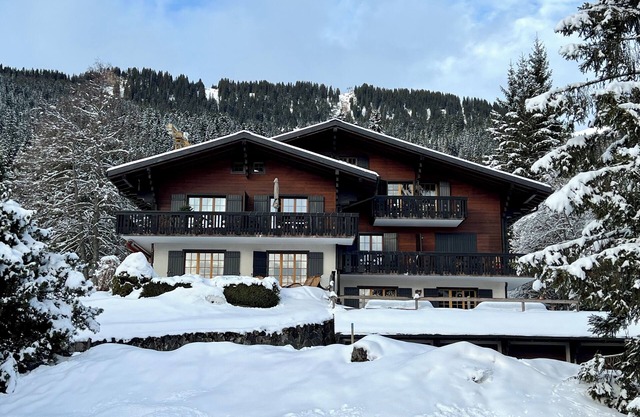 Cosy Chalet Apartment with Stunning Views, 1 BR