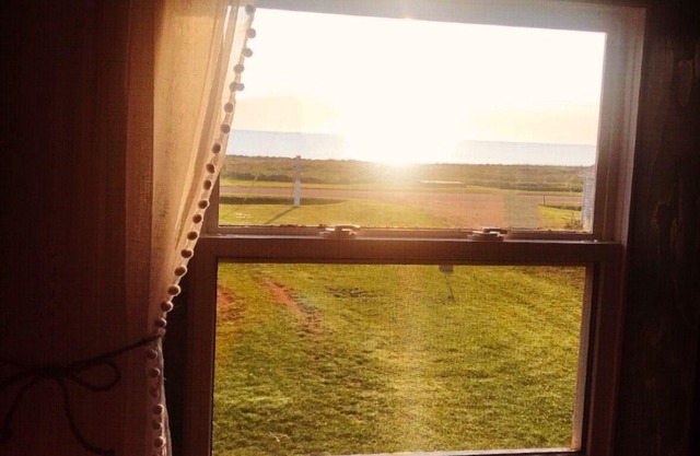 Cosy loft escape. A sandy beach across the street with ocean views.nPet friendly