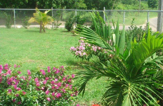 Cottage for rent near Dickenson bay beach
