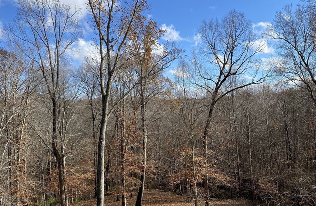 Country Charm City Convenience: Beautiful 3-Bedroom 2.5-Bath Home Forest Views