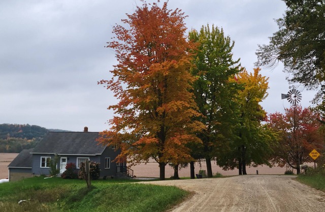 Country Serenity at The Resting Windmill