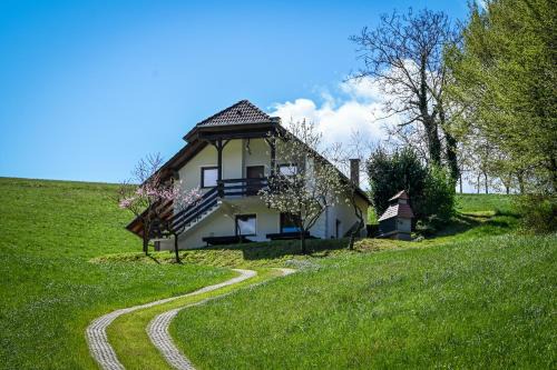 Countryside house