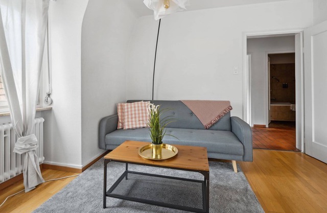 Cozy Apartment in the heart of Zurich