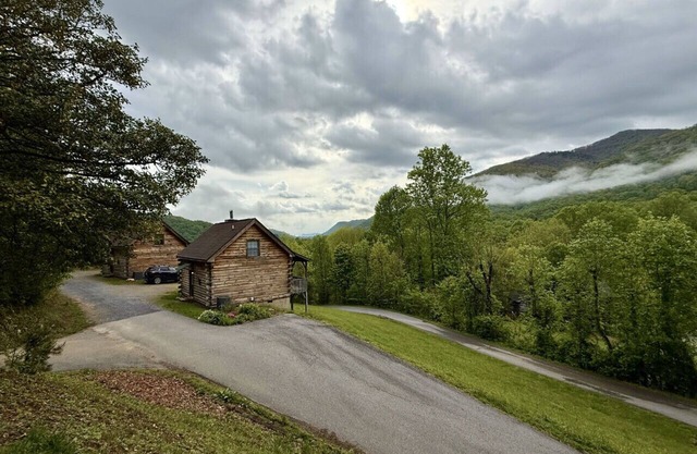 Cozy Bear Log Cabin, View, Wifi, Dogs Allowed