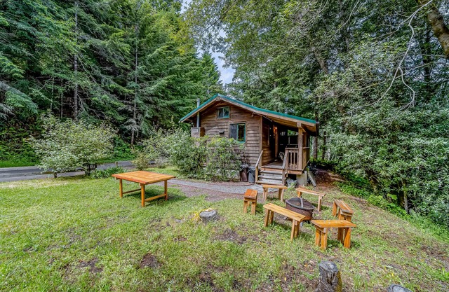 Cozy cabin, family-friendly, with fishing, washer/dryer, patio, & WiFi