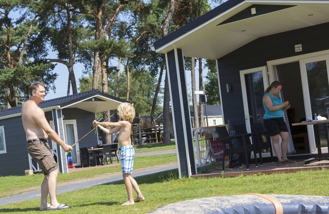 Cozy chalet with a dishwasher in a holiday park in Twente