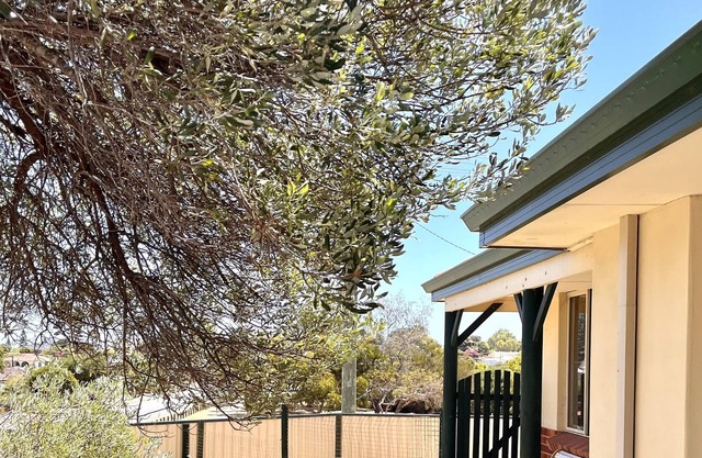 Cozy cottage in Two Rocks- 10 min walk from the beach. Dog friendly!