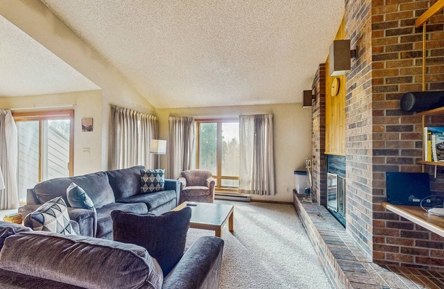 Cozy dog-friendly condo with fireplace, balcony and WiFi