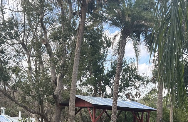 Cozy home half mile from Indian River. Great location for fishing and much more.
