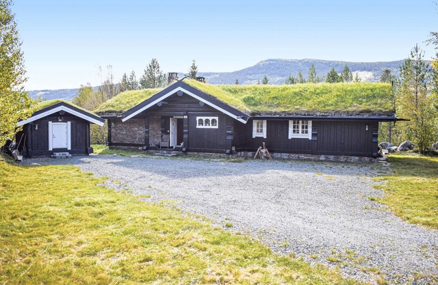 Cozy home in Hemsedal with kitchen