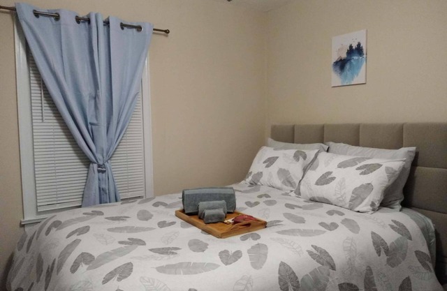 Cozy Home w/Wifi, Netflix, Smart TV, Near Airport