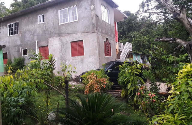 cozy in the hill surrounded by fruit trees ,flowers and greenery