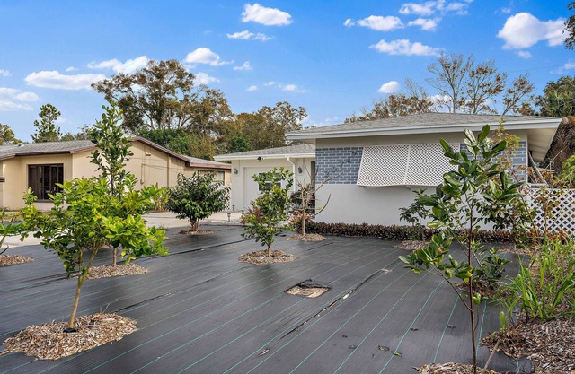 Cozy Nest in Clearwater/Palm Harbor area