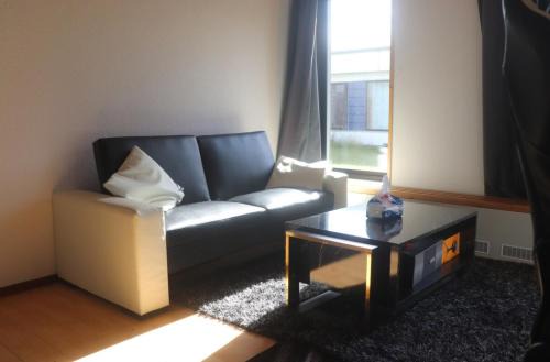 Cozy One Room Apartment