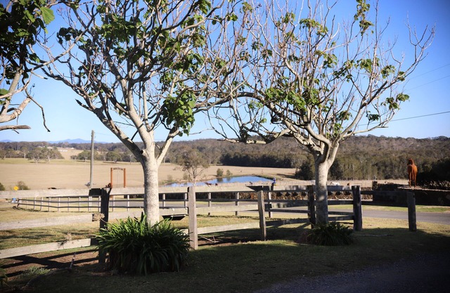 cozy retreat located on the south coast of NSW, nfarm and ocean views,