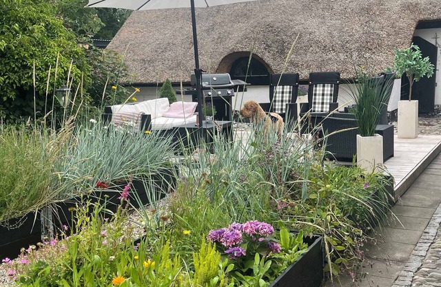 Cozy thatched cottage near the North Sea