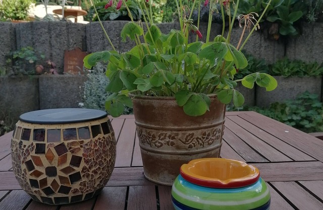 Cozy vacation apartment in the beautiful Maifeld
