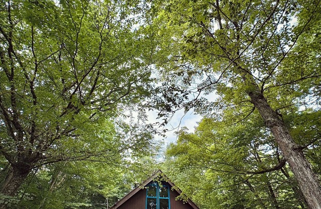 Cozy Vermont Chalet- Nature, Comfort & Adventure.Snuggled on top of Chimney Hill