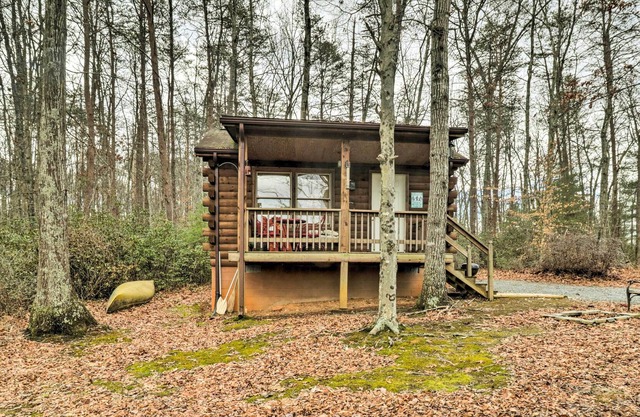 Cozy Virginia Cabin Rental - Dogs Welcome!
