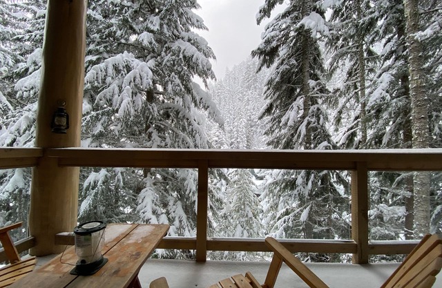Cozy Whistler Creekside Ski-in/Ski-out Cabin - w/Whistler Village Parking Spot