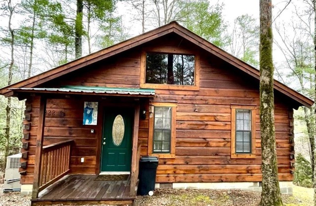 Crazy Bear - Motorcycle Friendly Home with Hot Tub and Grill