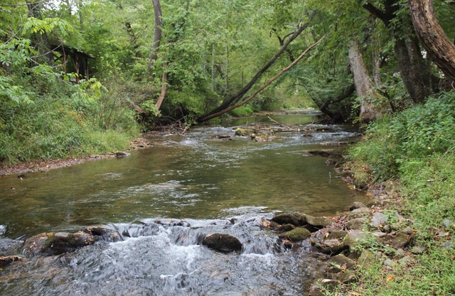 Creekside Cottage just steps from Fightingtown Creek & 10 minutes from downtown.