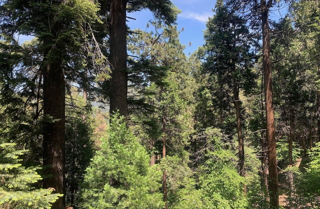 Crestline Blissful Cabin Escape - Private Guest House near Lake!