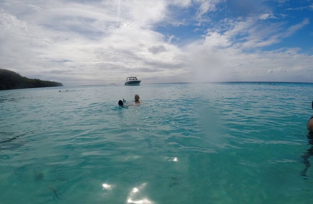 Curacao NEW Dive Resort 2025 (with many Dive and Snorkeling Hotspots)