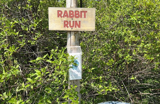 Cute little campground -campsite in Petoskey with nature views