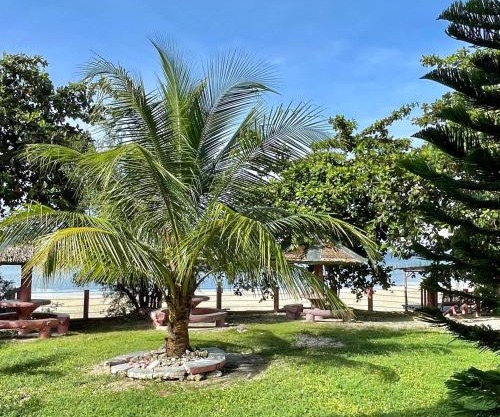 D's Oceanview Beach Resort