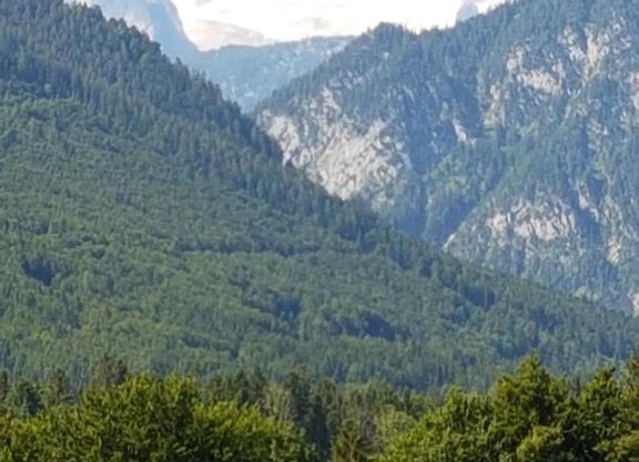 Dachsteinblick