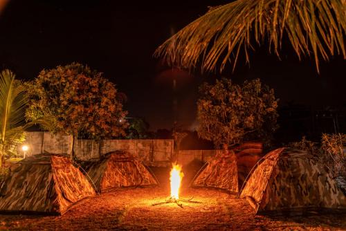 Dandeli Cottages - Resort