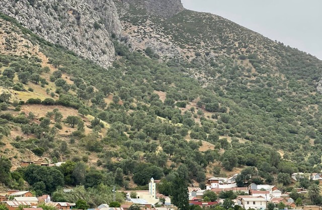 DAR LALA ZHOUR