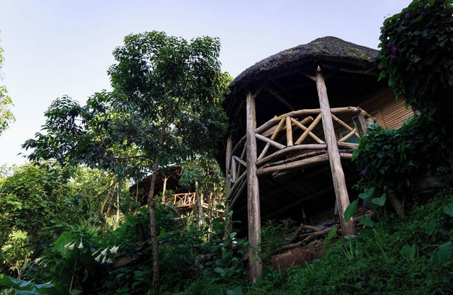 Dave Cave Eco Lodge and Campsite
