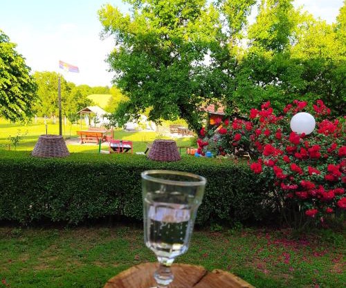 Dečiji vinogradi Belgrade, Sopot, Kosmaj