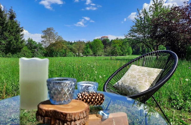 Deerwood-Holiday Cozy Apartment with Bled Castle View and Pretty Garden