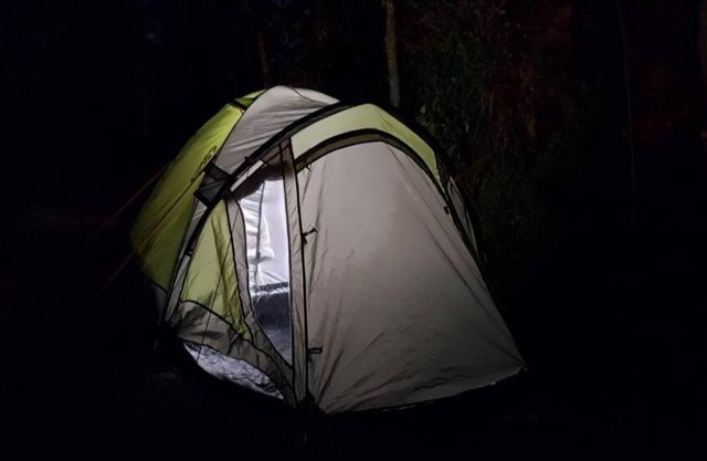 Delicate camp B