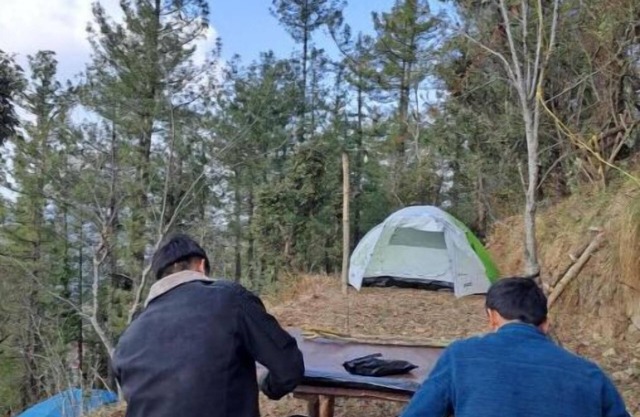 Delicate camp E