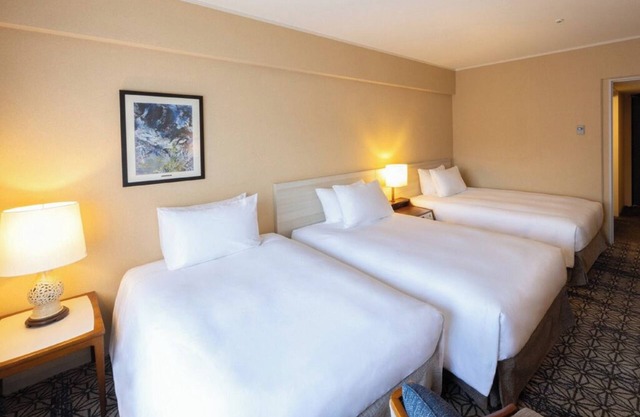 Deluxe Triple Room hotel with AC, fitness room, WiFi in amazing Minato City